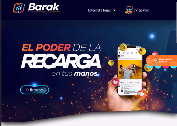 Sitio web implementando los colores y tipografías del manual de marca