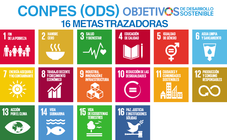 CONPES 16 metas trazadoras
